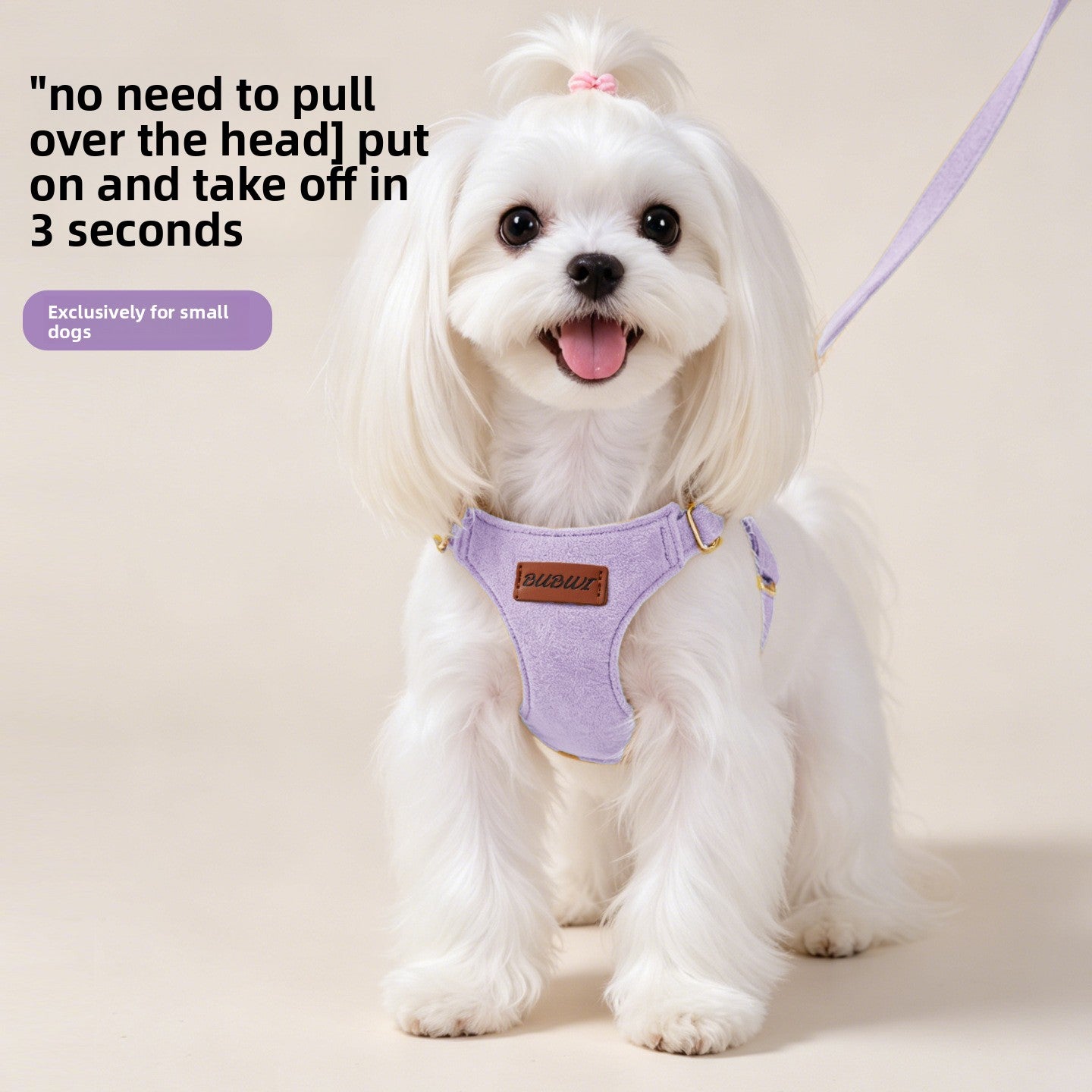 Explorer Harness