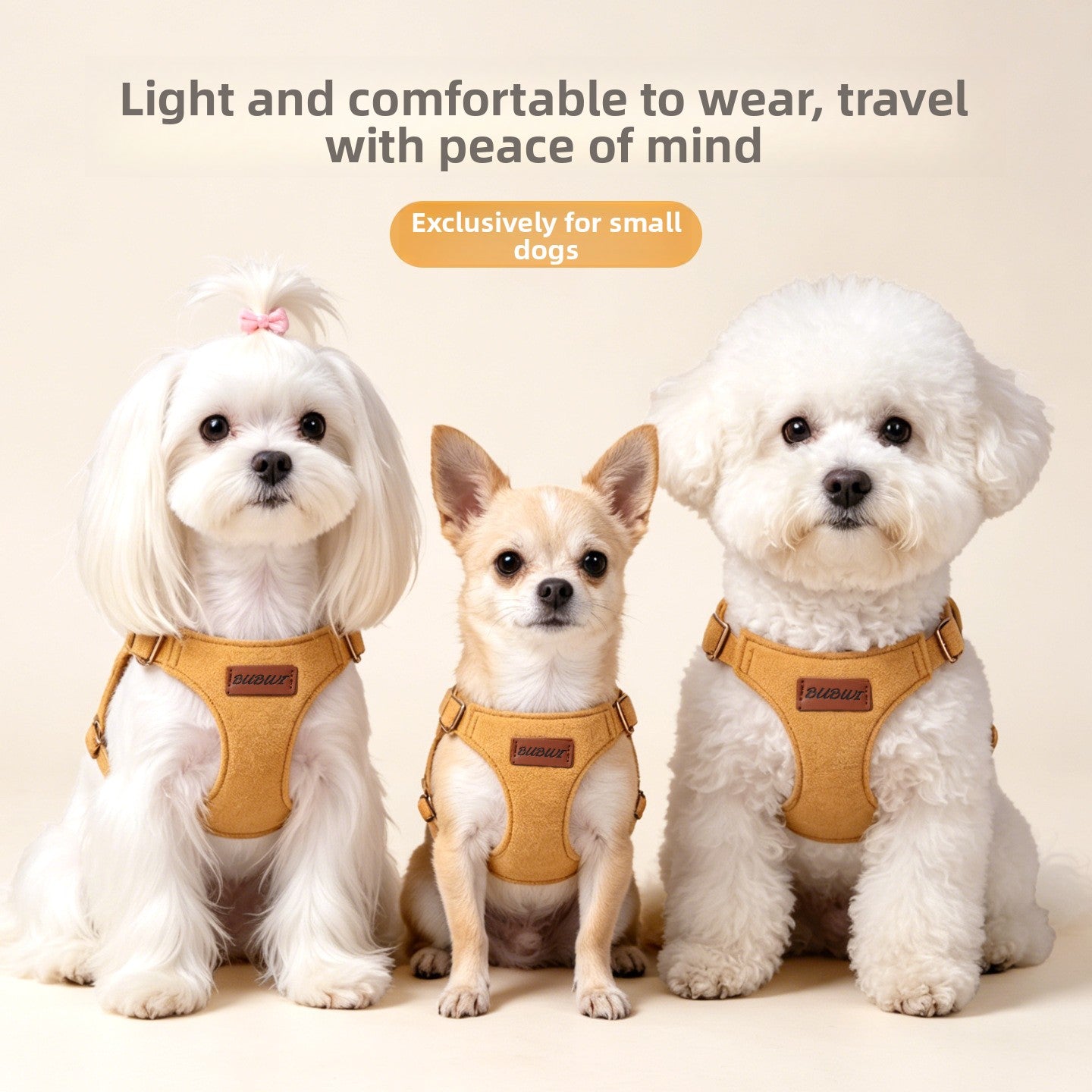 Explorer Harness