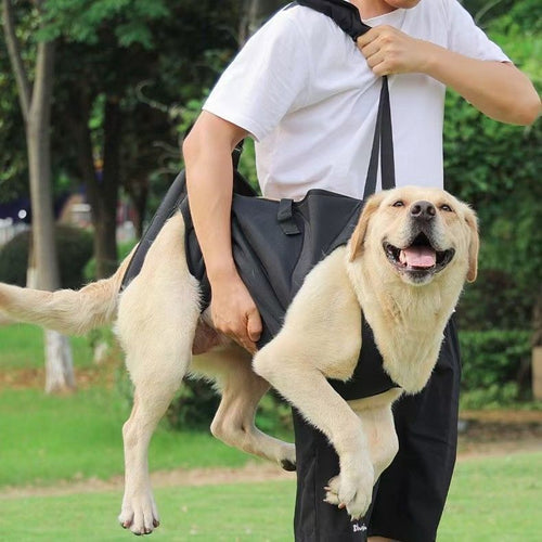 Adjustable Dog Support Harness