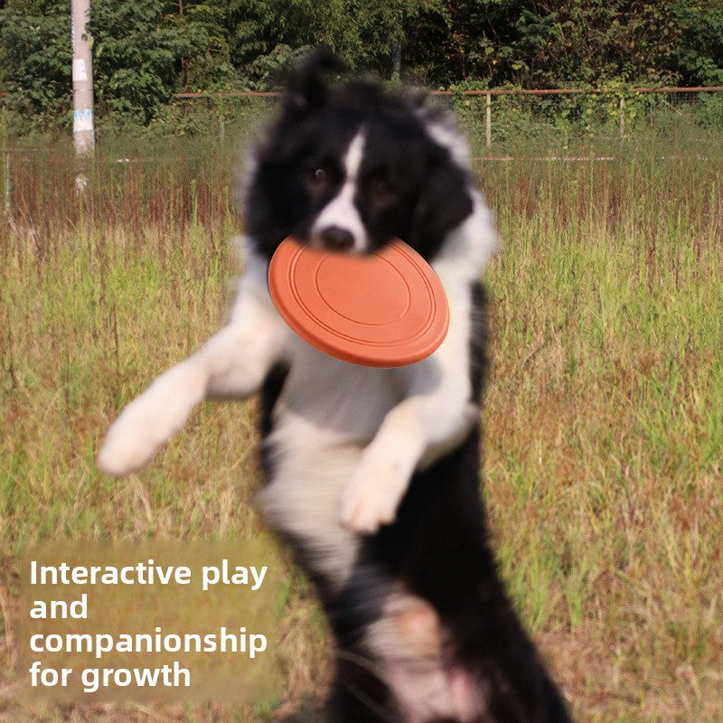 Fetch Disc
