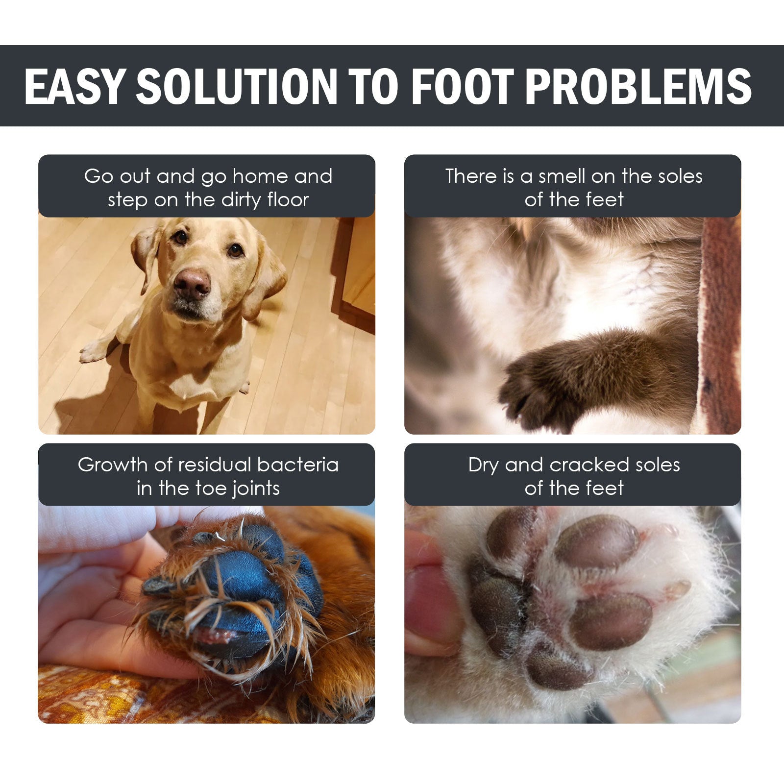 Paw Cleaner