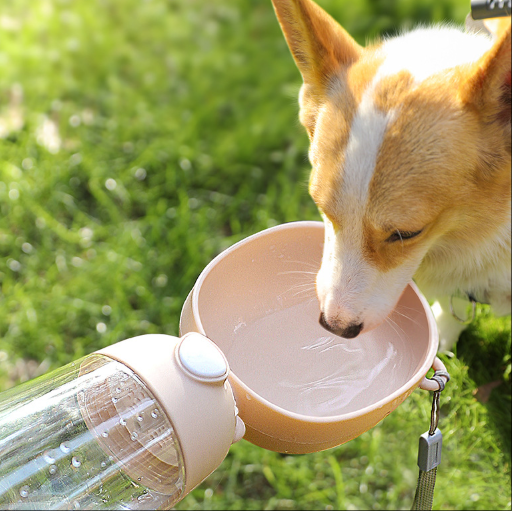 Foldable Dog Water Bottle & Bowl