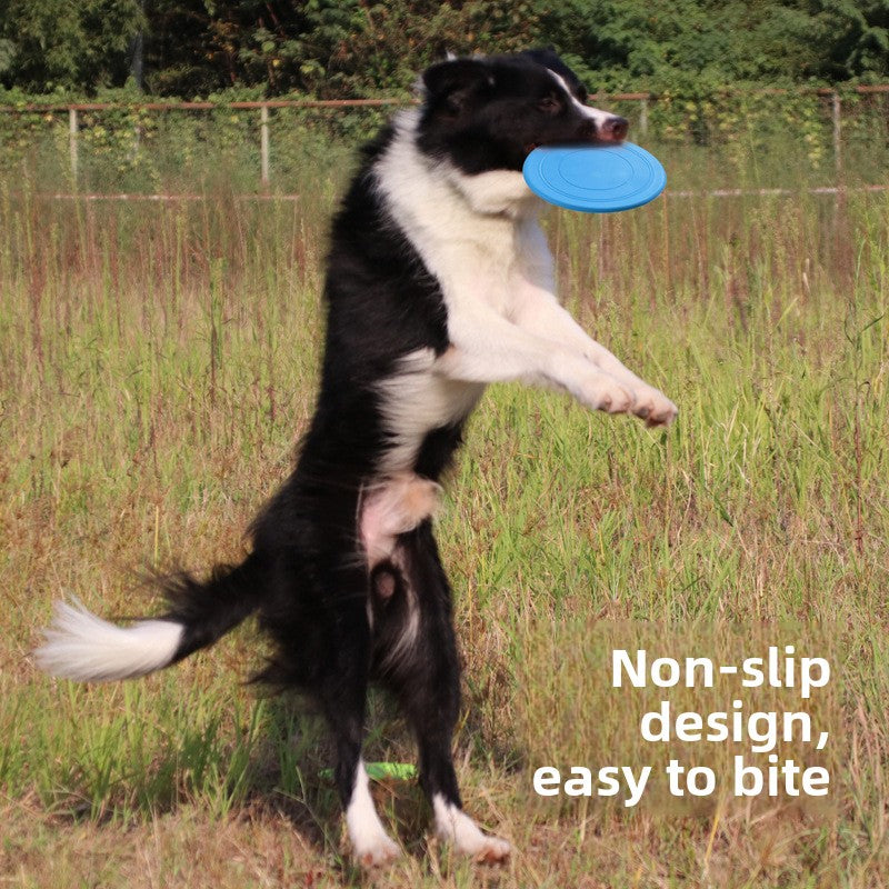 Fetch Disc