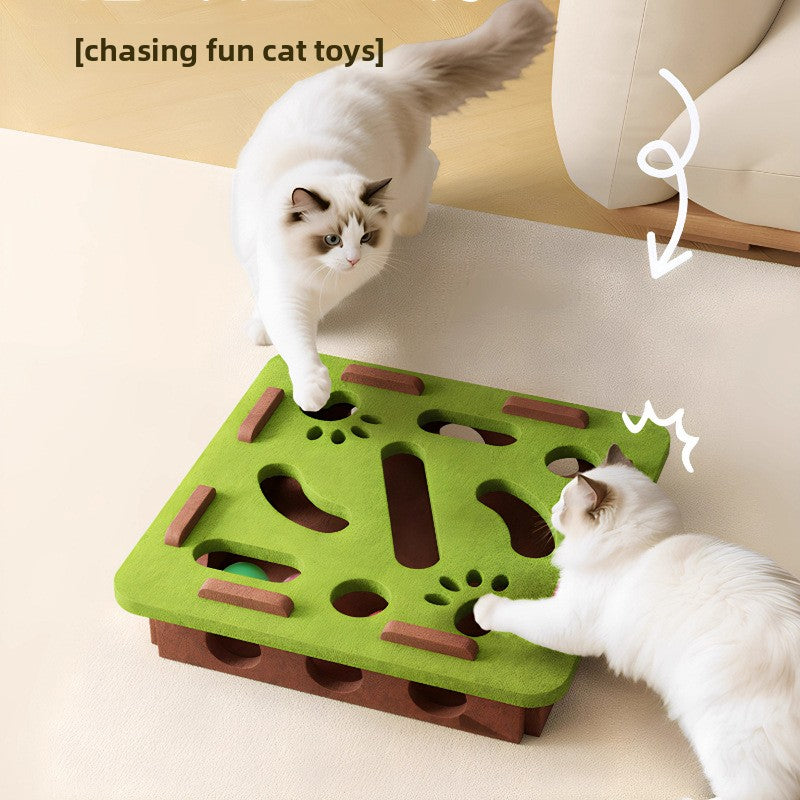 Pet Toy Board